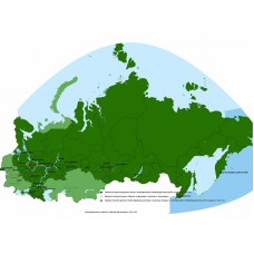 Карта Навиком Дороги России. РФ. ТОПО. на карте памяти microSD